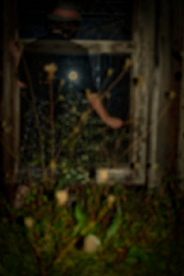 october-0004