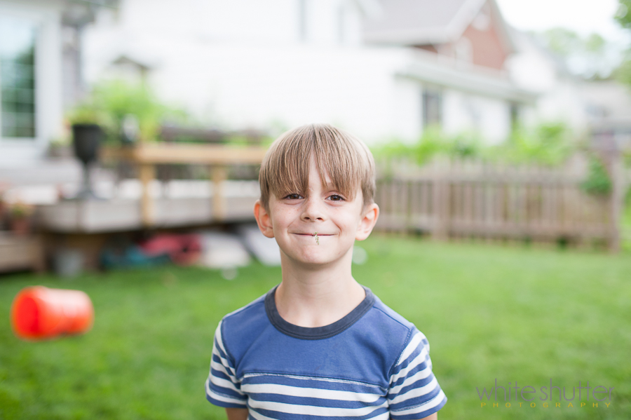 white shutter photo of the week