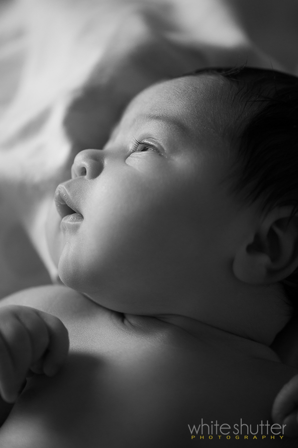 roxie baby photography rockford