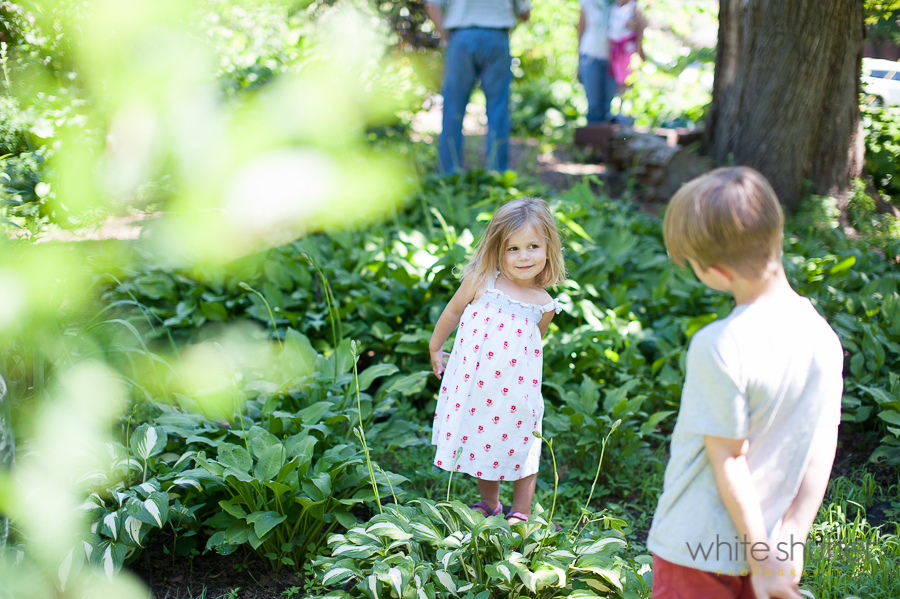 white shutter photo of the week